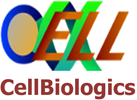 Cell biologics